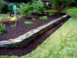 Silver Spring Columbia Md Landscaping Design Installation Turf Sod Commercial
