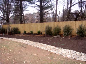 Silver Spring Columbia Md Landscaping Design Installation Turf Sod We Provide Landscaping In All Of Montgomery County And Howard Md Including Bethesda Chevy Chase Damascus Gaithersburg Germantown Kensington